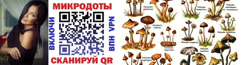 мориарти Telegram  Салехард  Галлюциногенные грибы мицелий  где купить наркотик  кракен ONION 